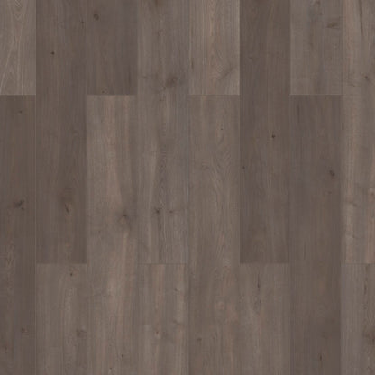 Laminaat Sensa Lifestyle - Ibis 56171