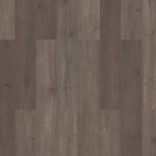 Laminaat Sensa Lifestyle - Ibis 56171