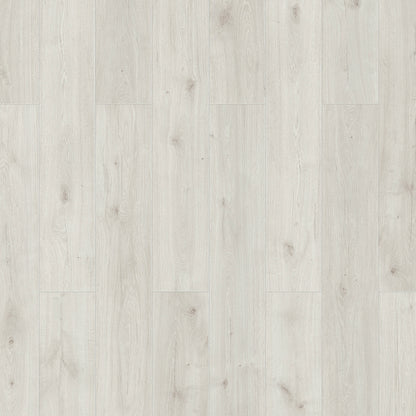 Laminaat Sensa Skyline - Papegaai 56172